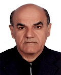 dr-mahmoud meraji